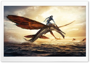 Avatar The Way Of Water, Jake Sully Riding a Skimwing Ultra HD Wallpaper for 4K UHD Widescreen desktop, tablet & smartphone