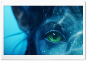 Avatar The Way of Water Movie 2023 Ultra HD Wallpaper for 4K UHD Widescreen desktop, tablet & smartphone