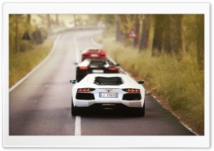 Aventador Lambos Ultra HD Wallpaper for 4K UHD Widescreen desktop, tablet & smartphone