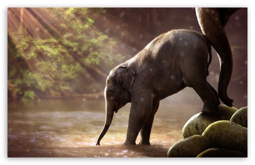 Download Pink Baby Elephant Cartoon IPhone Wallpaper  Wallpaperscom