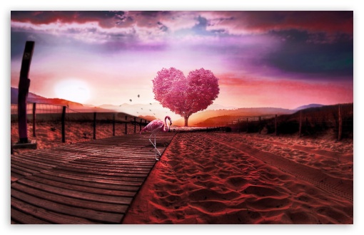 Background Love Heart Ultra HD Desktop Background Wallpaper for 4K UHD TV :  Widescreen & UltraWide Desktop & Laptop : Tablet : Smartphone