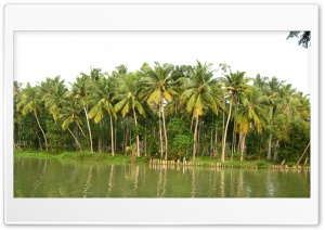 backwaters Ultra HD Wallpaper for 4K UHD Widescreen Desktop, Lockscreen, Screensaver, TV, Tablet, Smartphone