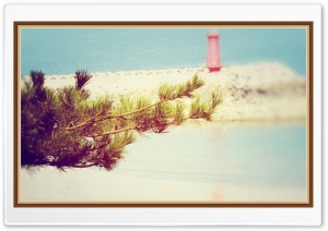 Backyard Beach Ultra HD Wallpaper for 4K UHD Widescreen desktop, tablet & smartphone