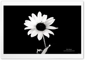 Balck and White Ultra HD Wallpaper for 4K UHD Widescreen desktop, tablet & smartphone
