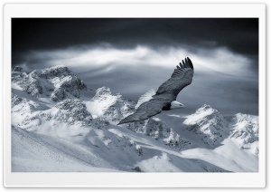 Bald Eagle Flying Over Mountains Ultra HD Wallpaper for 4K UHD Widescreen desktop, tablet & smartphone