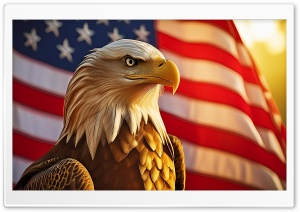 Bald Eagle, Independence Day, American Flag Ultra HD Wallpaper for 4K UHD Widescreen desktop, tablet & smartphone