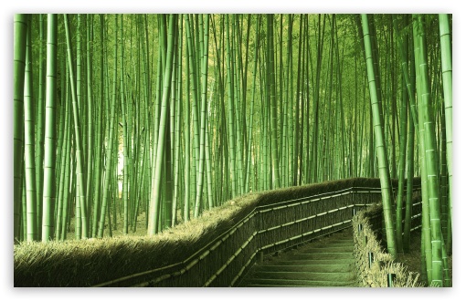 Custom 3D Photo Wallpaper Living Room TV Backdrop Green Bamboo Flowing  Water Natural Landscape Interior Decoration Wall Painting - AliExpress