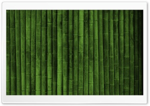 Bamboo Wall Ultra HD Wallpaper for 4K UHD Widescreen desktop, tablet & smartphone