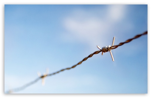 Barbed Wire UltraHD Wallpaper for HD 16:9 ; Widescreen 16:10 5:3 ; Fullscreen 4:3 5:4 3:2 ; Tablet 1:1 ; Mobile 3:5 3:4 ; Dual 16:10 5:3 16:9 4:3 5:4 ;