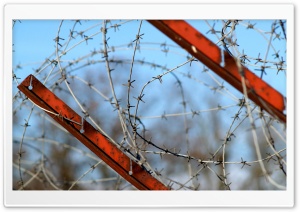 Barbed Wire Fence Ultra HD Wallpaper for 4K UHD Widescreen desktop, tablet & smartphone