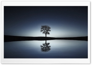 Bare Tree, Winter Night Ultra HD Wallpaper for 4K UHD Widescreen desktop, tablet & smartphone