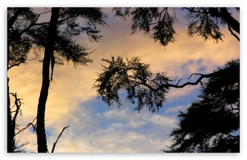 Bark Bay Sunset UltraHD Wallpaper for HD 16:9 ; Widescreen 16:10 5:3 ; Fullscreen 4:3 5:4 3:2 ;