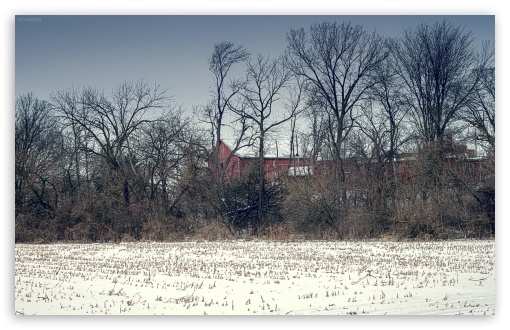 Barn UltraHD Wallpaper for Wide 16:10 5:3 Widescreen WHXGA WQXGA WUXGA WXGA WGA ; 8K UHD TV 16:9 Ultra High Definition 2160p 1440p 1080p 900p 720p ; Standard 4:3 5:4 3:2 Fullscreen UXGA XGA SVGA QSXGA SXGA DVGA HVGA HQVGA ( Apple PowerBook G4 iPhone 4 3G 3GS iPod Touch ) ; Tablet 1:1 ; iPad 1/2/Mini ; Mobile 4:3 5:3 3:2 16:9 5:4 - UXGA XGA SVGA WGA DVGA HVGA HQVGA ( Apple PowerBook G4 iPhone 4 3G 3GS iPod Touch ) 2160p 1440p 1080p 900p 720p QSXGA SXGA ;