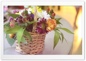 Basket With Flowers Ultra HD Wallpaper for 4K UHD Widescreen desktop, tablet & smartphone