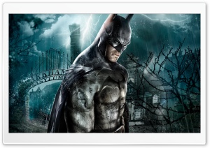 Batman Arkham Asylum Game Ultra HD Wallpaper for 4K UHD Widescreen desktop, tablet & smartphone