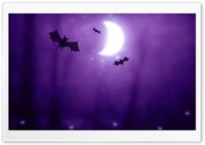 Bats   Halloween Ultra HD Wallpaper for 4K UHD Widescreen desktop, tablet & smartphone