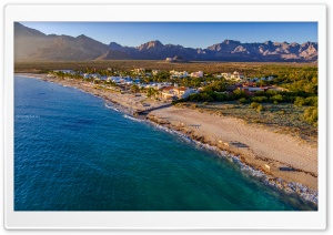 Beach Cows Ultra HD Wallpaper for 4K UHD Widescreen desktop, tablet & smartphone