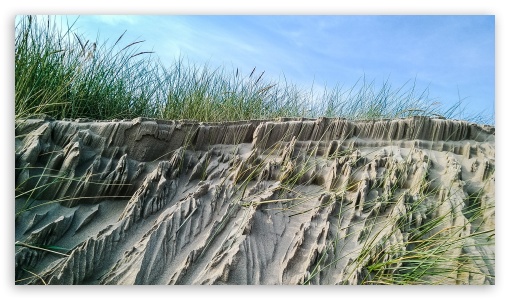 Beach Dunes With Grass UltraHD Wallpaper for 8K UHD TV 16:9 Ultra High Definition 2160p 1440p 1080p 900p 720p ;