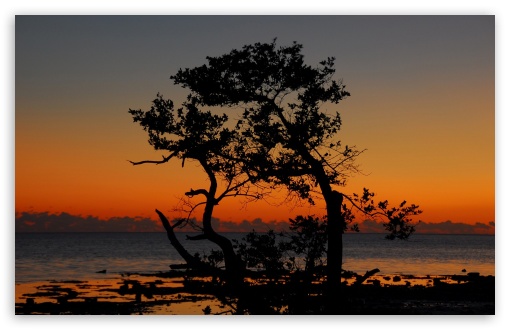 Beach Scene Sunset 11 UltraHD Wallpaper for HD 16:9 ; Widescreen 16:10 5:3 ; Fullscreen 4:3 5:4 3:2 ; Tablet 1:1 ;