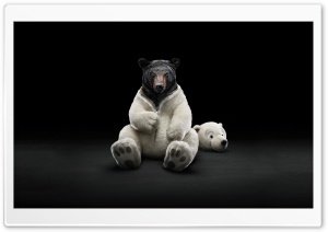 Bear Ultra HD Wallpaper for 4K UHD Widescreen desktop, tablet & smartphone