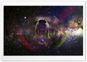 Bear Into the Space Ultra HD Wallpaper for 4K UHD Widescreen desktop, tablet & smartphone