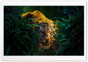 Beast Ultra HD Wallpaper for 4K UHD Widescreen desktop, tablet & smartphone