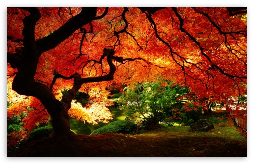beautiful_autumn_2-t2.jpg