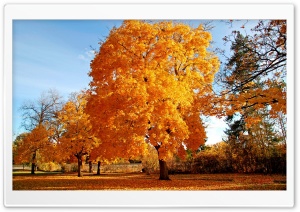 Beautiful Autumn Day Ultra HD Wallpaper for 4K UHD Widescreen desktop, tablet & smartphone
