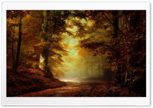 Beautiful Autumn Landscape Ultra HD Wallpaper for 4K UHD Widescreen desktop, tablet & smartphone