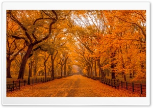Beautiful Autumn Landscapes of the World Ultra HD Wallpaper for 4K UHD Widescreen desktop, tablet & smartphone