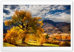 Beautiful Autumn Scenery Colorado Ultra HD Wallpaper for 4K UHD Widescreen desktop, tablet & smartphone