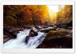 Beautiful Autumn Scenery, Gorges de la Jogne, Switzerland Ultra HD Wallpaper for 4K UHD Widescreen desktop, tablet & smartphone
