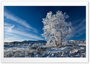 Beautiful Blue Winter Sky Ultra HD Wallpaper for 4K UHD Widescreen desktop, tablet & smartphone