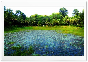 Beautiful Botanical Garden, Bangladesh Ultra HD Wallpaper for 4K UHD Widescreen desktop, tablet & smartphone