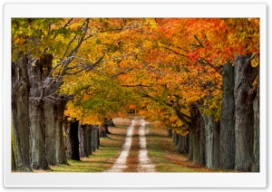 Beautiful Country Road Ultra HD Wallpaper for 4K UHD Widescreen desktop, tablet & smartphone
