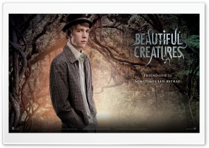 Beautiful Creatures - Link Ultra HD Wallpaper for 4K UHD Widescreen desktop, tablet & smartphone