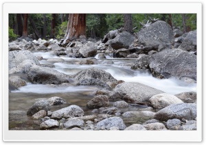 Beautiful Creek Ultra HD Wallpaper for 4K UHD Widescreen desktop, tablet & smartphone