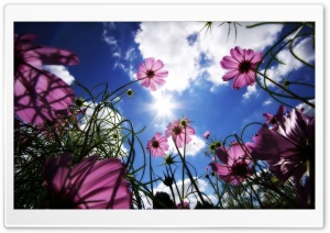 Beautiful Day Ultra HD Wallpaper for 4K UHD Widescreen desktop, tablet & smartphone