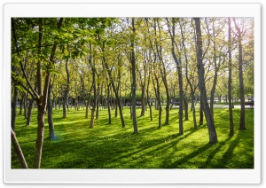 Beautiful Day in Romania Ultra HD Wallpaper for 4K UHD Widescreen desktop, tablet & smartphone