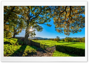 Beautiful England Nature Countryside Scenery Ultra HD Wallpaper for 4K UHD Widescreen desktop, tablet & smartphone