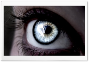 Beautiful Eye Ultra HD Wallpaper for 4K UHD Widescreen desktop, tablet & smartphone