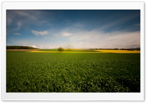 Beautiful Field Ultra HD Wallpaper for 4K UHD Widescreen desktop, tablet & smartphone