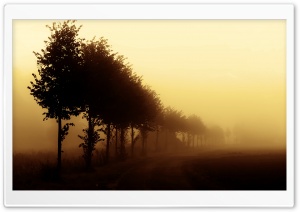 Beautiful Foggy Day Ultra HD Wallpaper for 4K UHD Widescreen desktop, tablet & smartphone