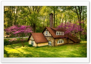 Beautiful Forest House, Spring Ultra HD Wallpaper for 4K UHD Widescreen desktop, tablet & smartphone