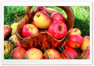 Beautiful Fruits Ultra HD Wallpaper for 4K UHD Widescreen desktop, tablet & smartphone