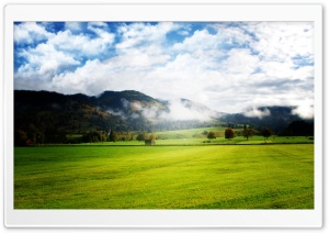 Beautiful Green Meadow Ultra HD Wallpaper for 4K UHD Widescreen desktop, tablet & smartphone