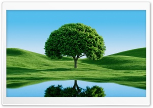 Beautiful Green Tree by Hills and Lake 4K UHD Wallpaper for Widescreen and UltraWide Desktop, UltraHD TV, Smartphone, Tablet