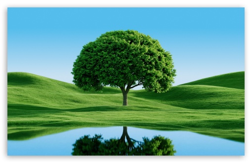 Beautiful Green Tree by Hills and Lake UltraHD Wallpaper for UHD 16:9 ; HD 16:9 ; UltraWide 21:9 24:10 ; Widescreen 16:10 ; Tablet 1:1 ;
