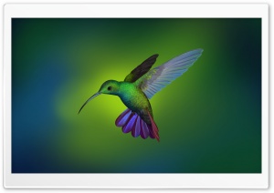 Beautiful Hummingbird Art Ultra HD Wallpaper for 4K UHD Widescreen desktop, tablet & smartphone