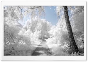 Beautiful Infrared Landscape Ultra HD Wallpaper for 4K UHD Widescreen desktop, tablet & smartphone